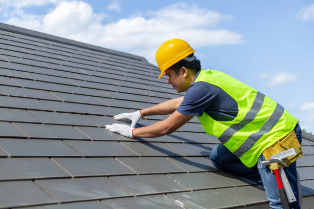 Best Roof Gutter Cleaning  in Martinsburg, PA